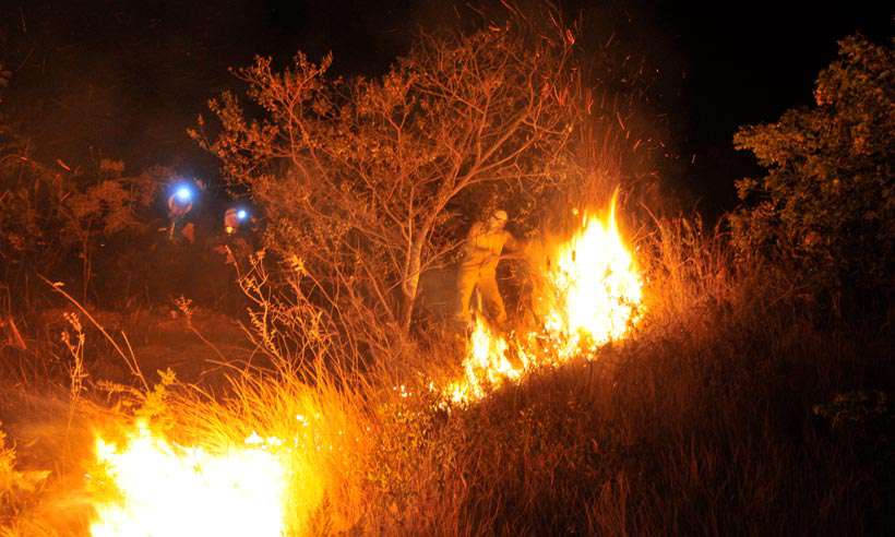 Bombeiros registram oito queimadas em vegetação em 24 horas