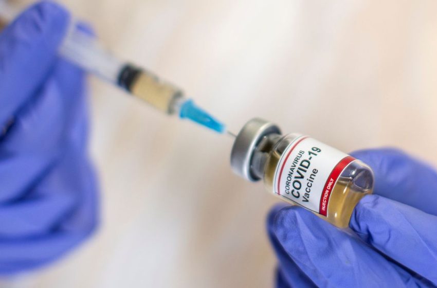 Vacina brasileira contra a Covid-19 deve estar pronta em 9 meses