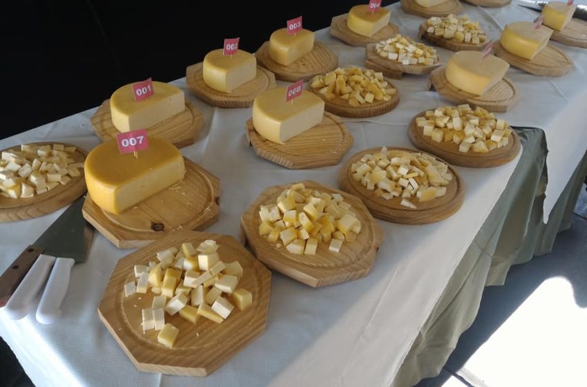  Diretor-geral do IMA anuncia concurso internacional do queijo em Araxá