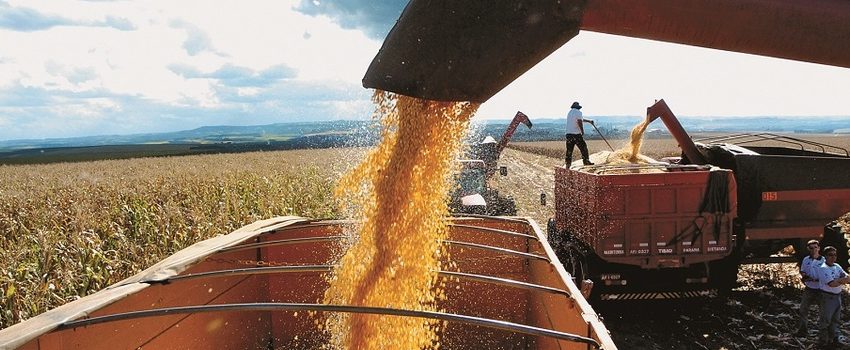  Minas Gerais tem previsão de safra recorde de grãos