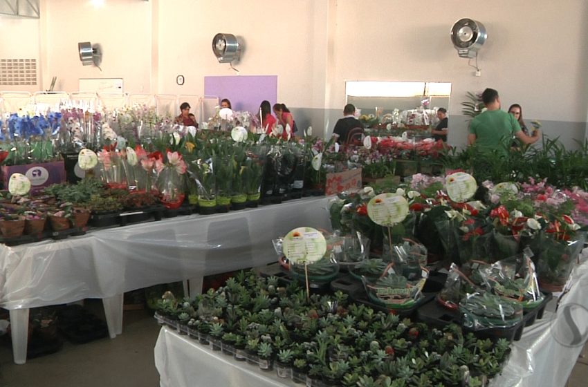  Apae promove feira de flores para arrecadar recursos