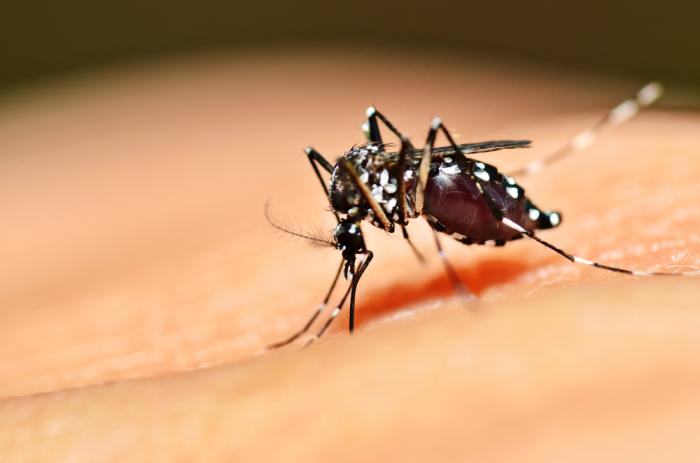  Caso de zika vírus é registrado em Araxá