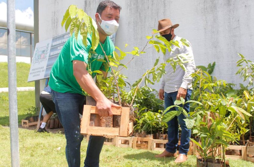  Prefeitura de Araxá lança segunda edição do Projeto Fruta no Campo