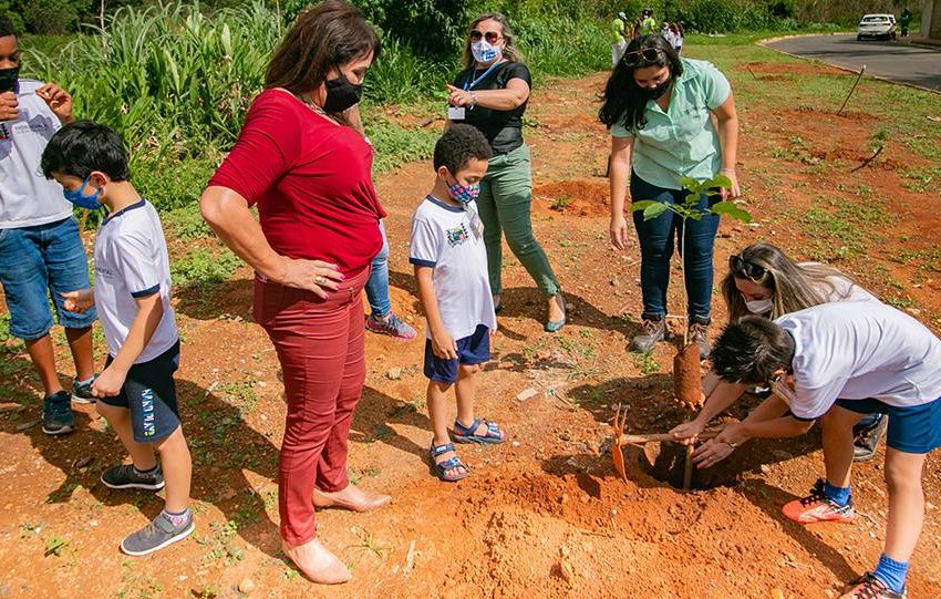  Estudantes participam de reflorestamento para recuperação de recursos hídricos em Araxá