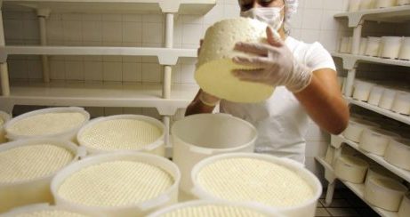  Aprovadas novas regras para produção e venda de queijos artesanais
