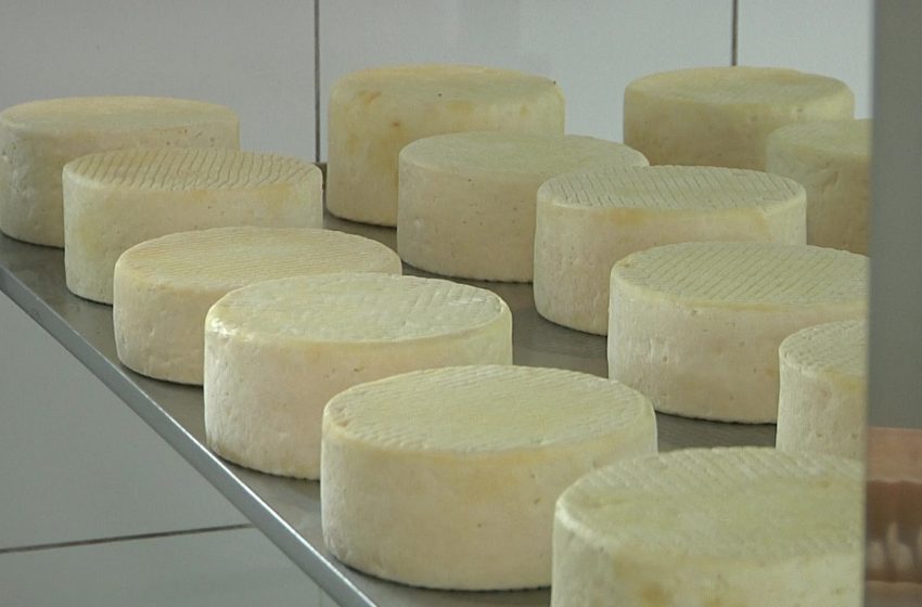  Concurso estadual de queijo artesanal homenageia 300 anos de MG